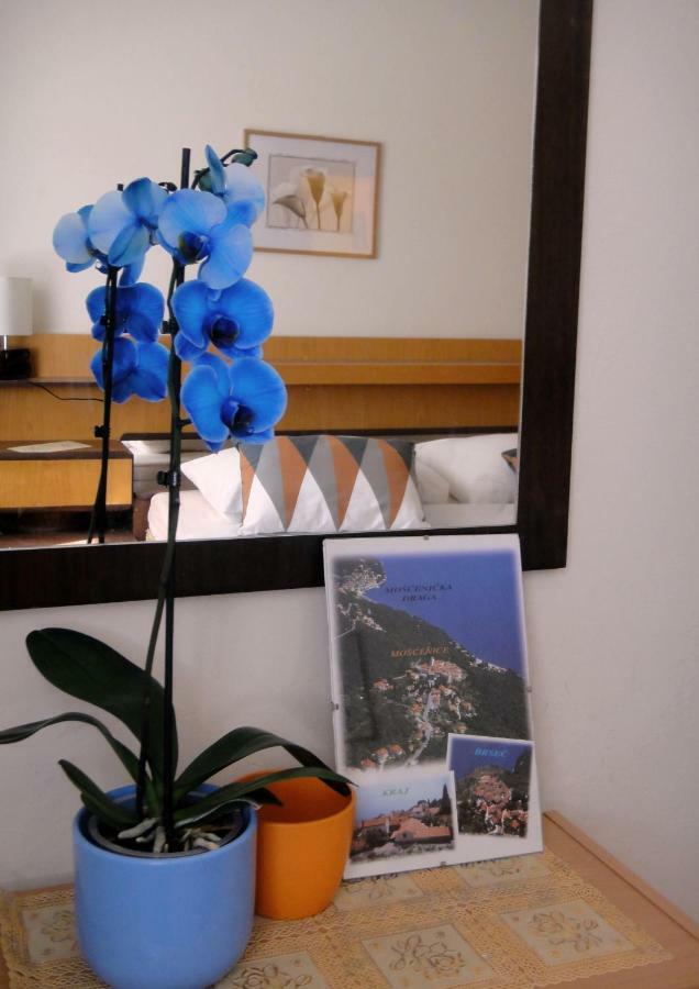 Apartman Vera Mošćenička Draga Eksteriør bilde